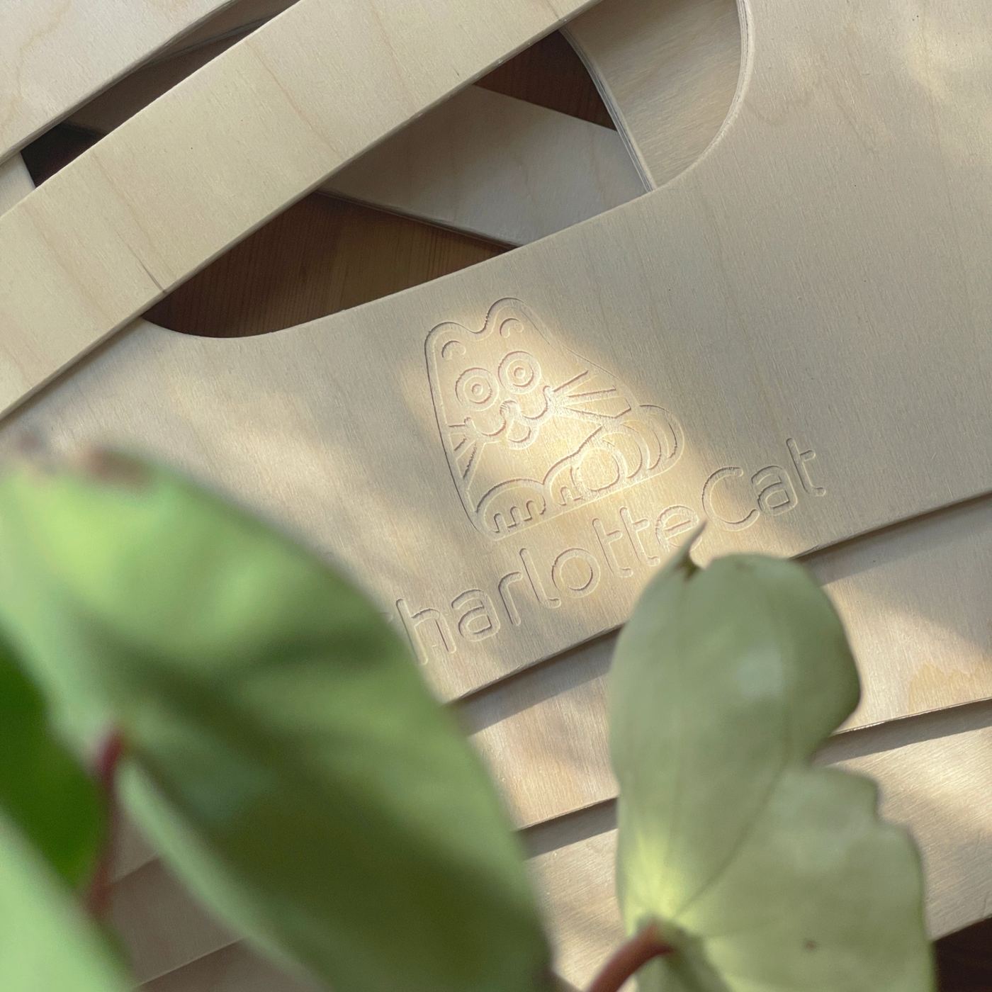 Natural birch plywood material